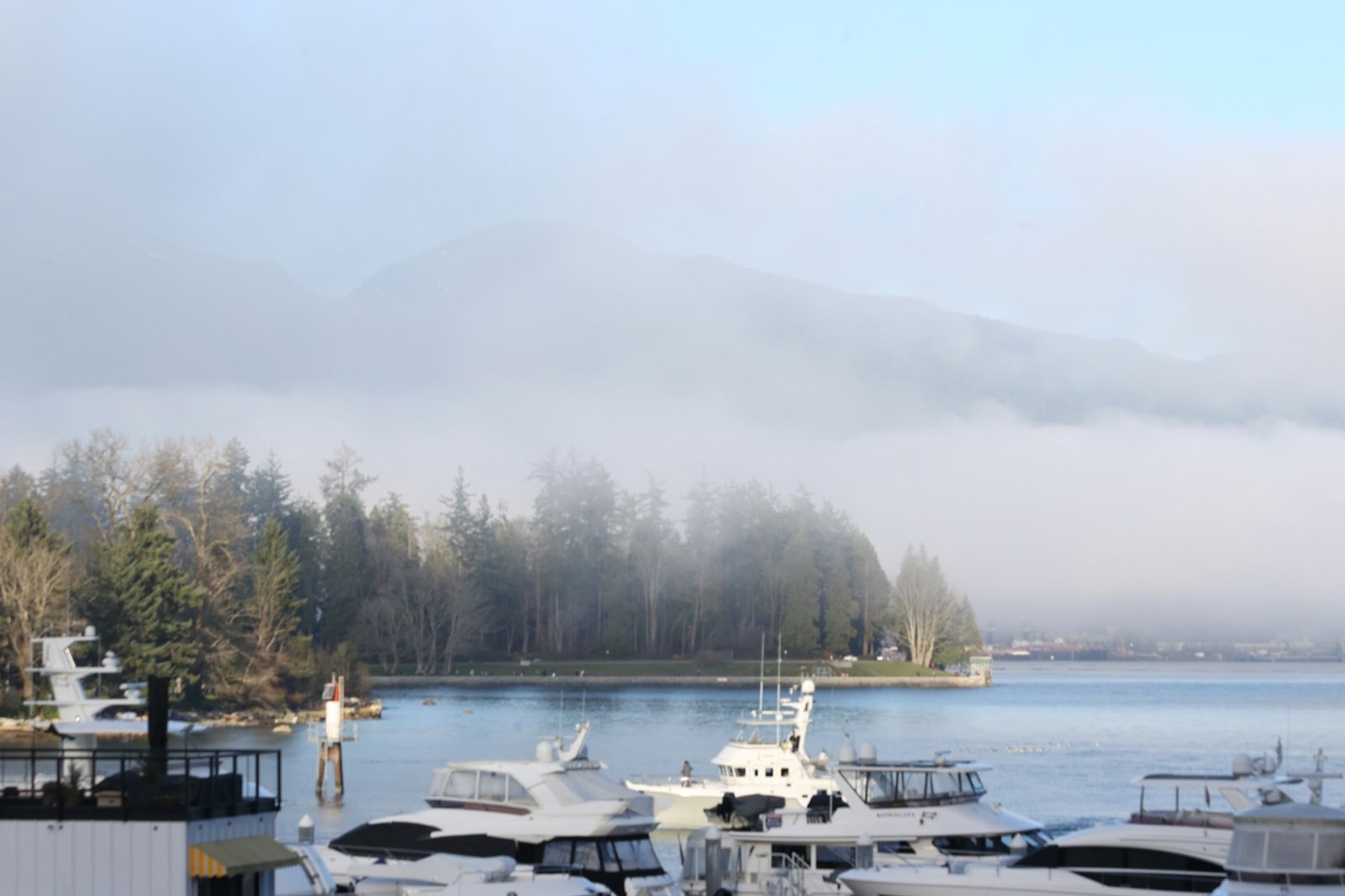 A working marina in fog with forested mountains behind
