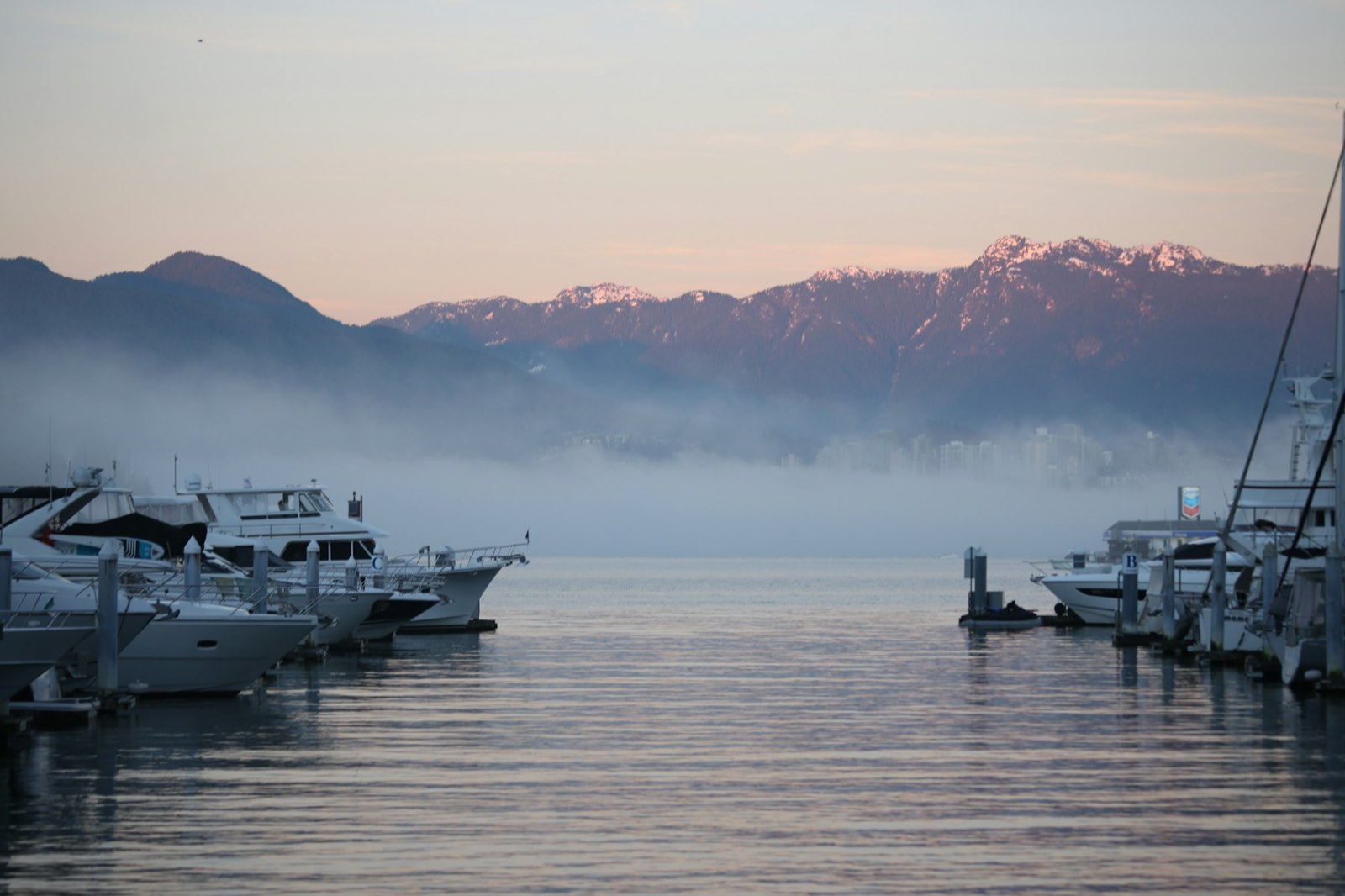 A misty harbour at dawn with coastal mountains behind